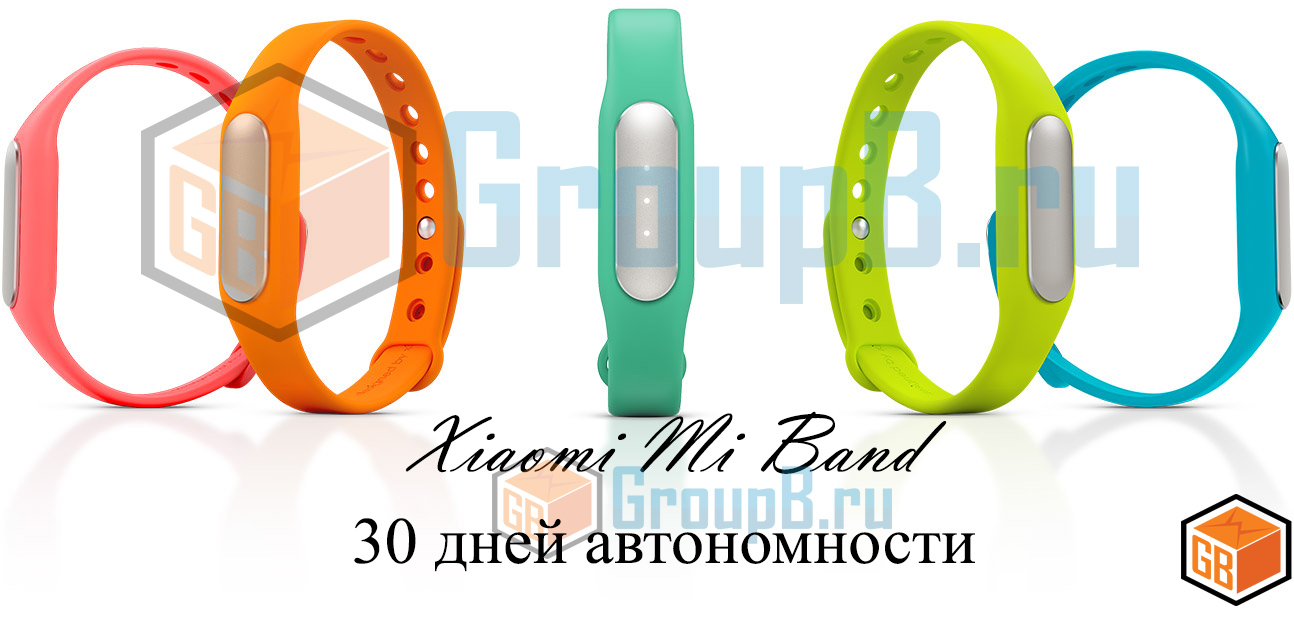 xiaomi Mi Band wristband